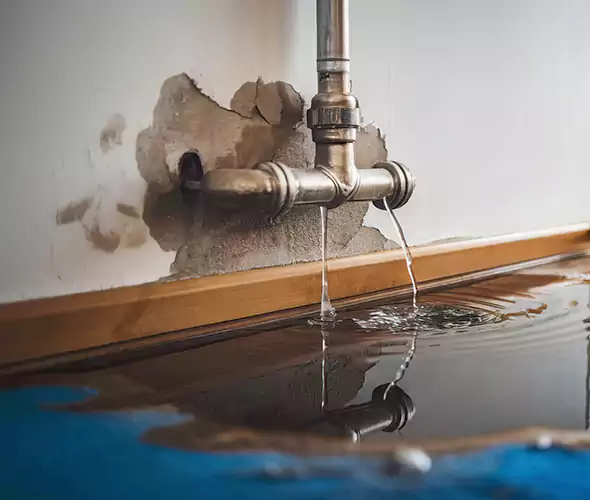 Professional Water Damage Restoration Experts in Moreno Valley, CA — Fast, Reliable & Certified